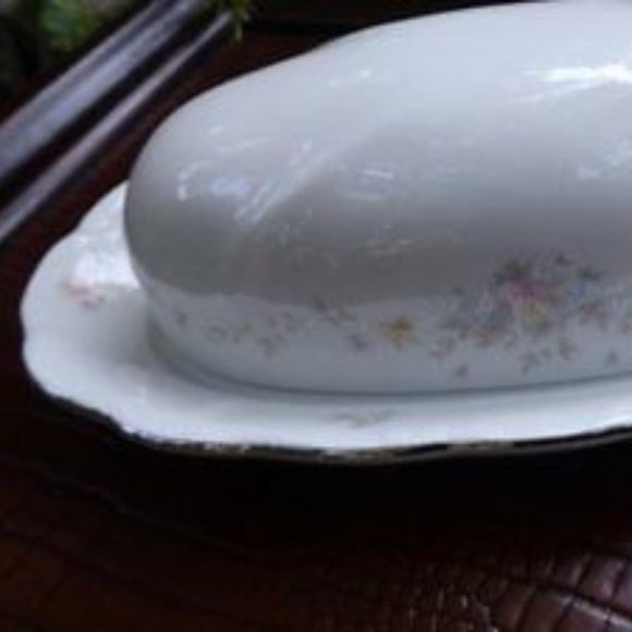 🧈BUTTER DISH NEW Johann Haviland BARVARIA GERMANY FLORAL SPLENDOR - Picture 3 of 11